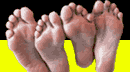 FOOTFETISHGALLERY.NET - Free Foot Fetish Gallery!!!